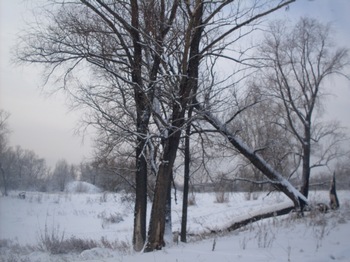 С «мыльницей» в руках